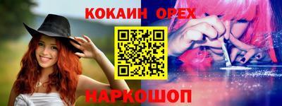 крисы Кунгур