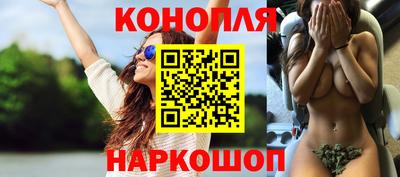 крисы Кунгур