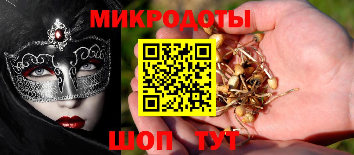 что такое   Псилоцибиновые грибы прущие грибы  Вход с VPN  Галлюциногенные грибы мицелий  Вязники 