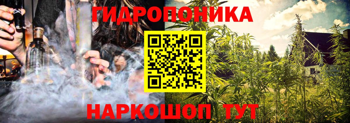 Бошки Шишки сатива  Шишки марихуана SATIVA & INDICA  Вязники  Бошки марихуана план  Бошки марихуана White Widow  Вход с VPN 